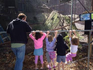 14614238_10154045060668123_1490516891_o