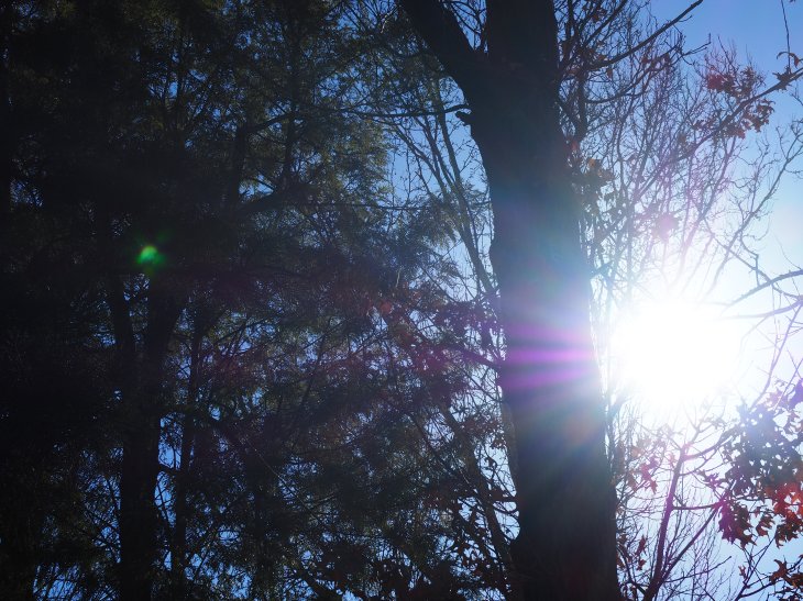 OLYMPUS DIGITAL CAMERA