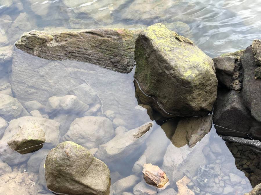 Early Morning Ramble